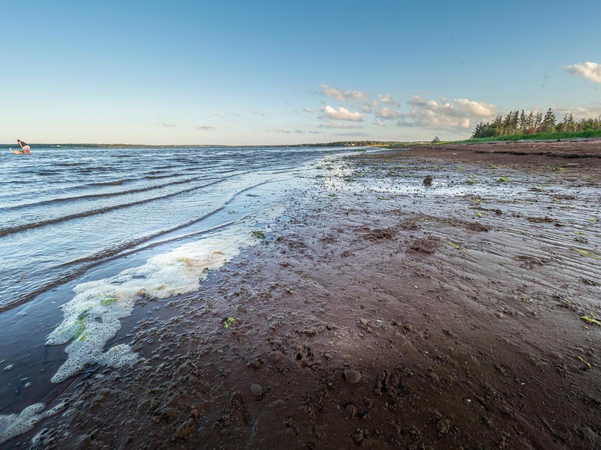 Tracadie Cottages York المظهر الخارجي الصورة