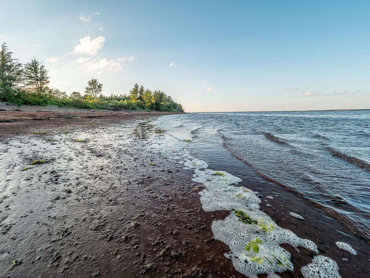 Tracadie Cottages York المظهر الخارجي الصورة